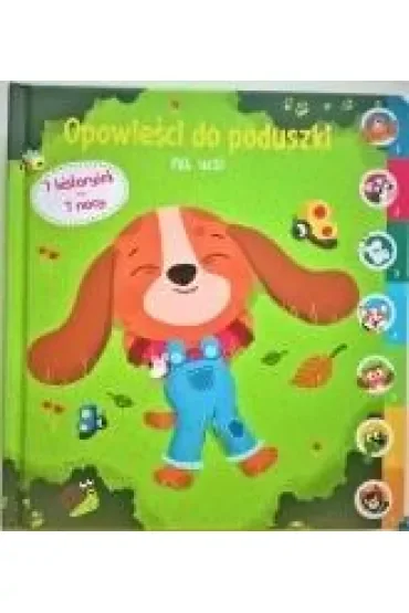 Opowieści do poduszki. Na wsi