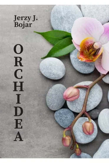 Orchidea