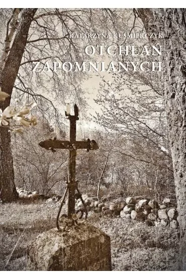 Otchłań zapomnianych