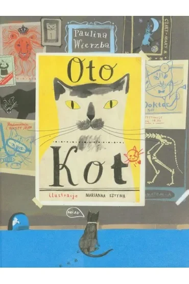 Oto kot
