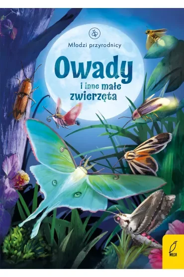 Owady i inne małe zwierzęta. Młodzi Przyrodnicy