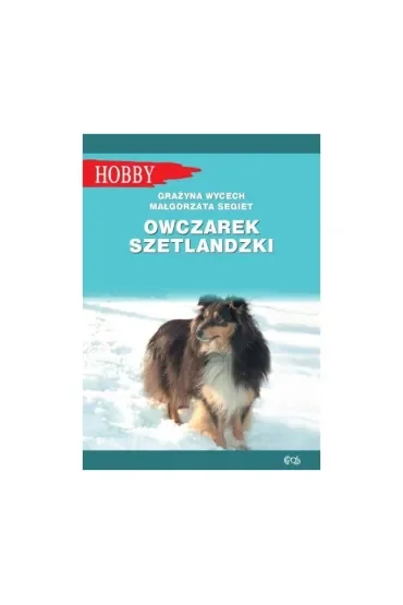Owczarek szetlandzki