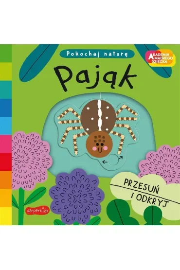Pająk. Akademia Mądrego Dziecka. Pokochaj naturę