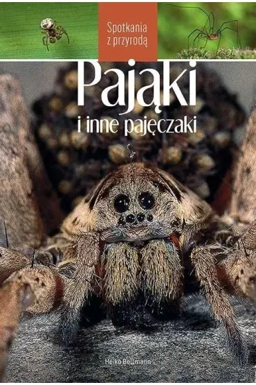 Pająki i inne pajęczaki. Spotkania z przyrodą