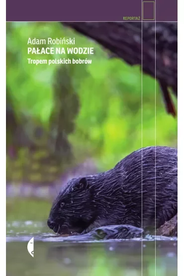 Pałace na wodzie. Tropem polskich bobrów