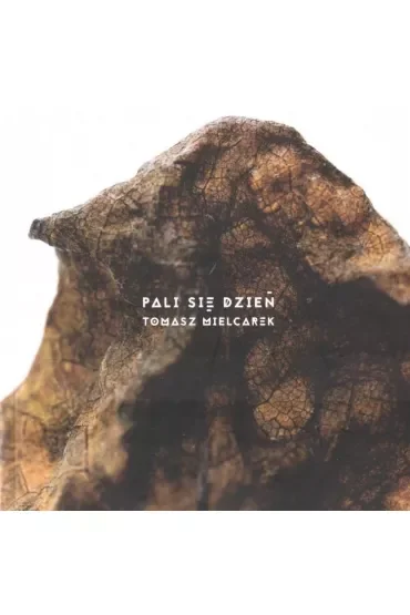Pali się dzień