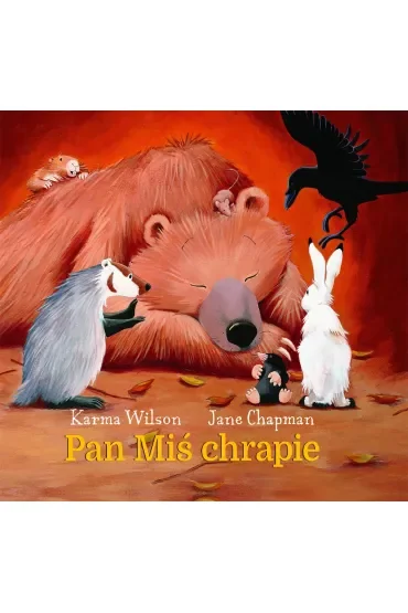 Pan Miś chrapie