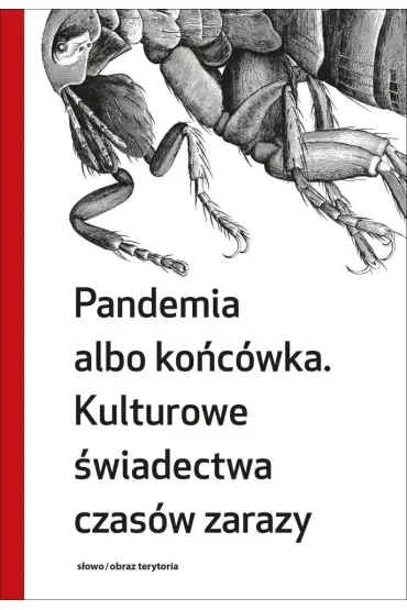 Pandemia albo końcówka. Kulturowe świadectwa czasów zarazy
