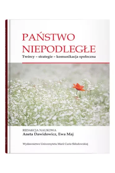Państwo niepodległe. Twórcy - strategie - komunikacja społeczna