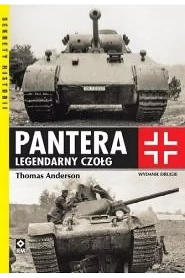 Panzerjager. Historia niszczycieli czołgów. Tom 1