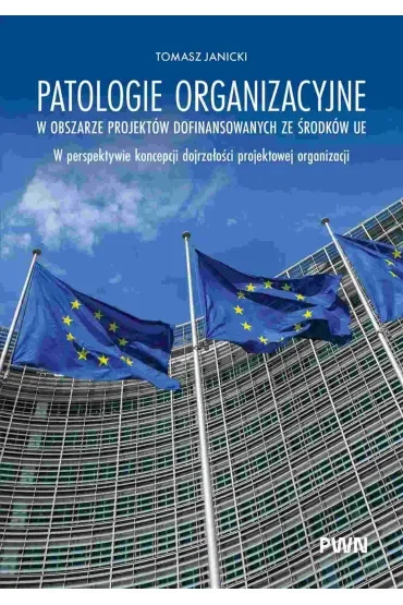 Patologie organizacyjne w obszarze projektów dofinansowanych ze środków UE