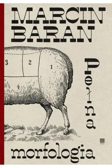 Pełna morfologia