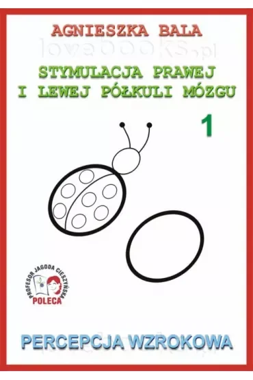Percepcja wzrokowa. Stymulacja prawej i lewej półkuli. Część 1