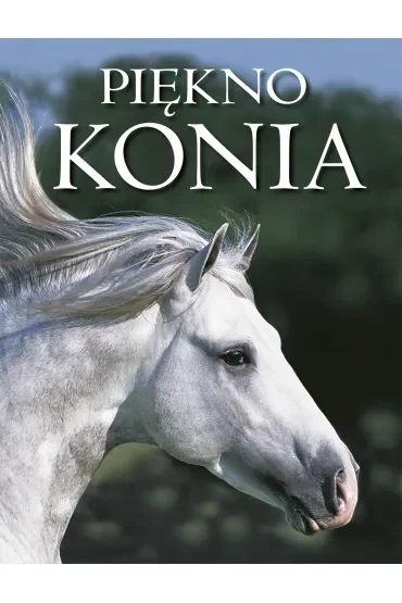 Piękno konia