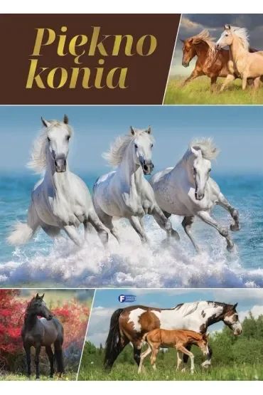 Piękno konia