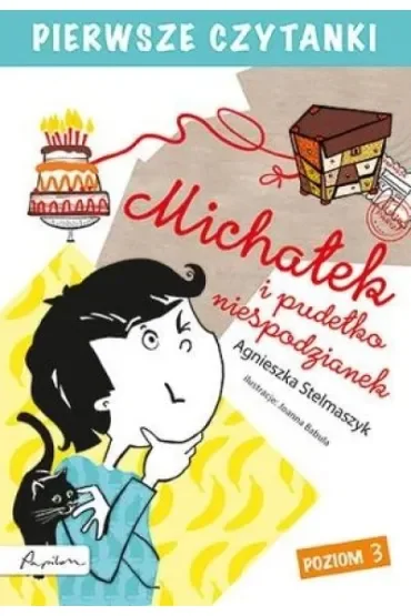 Pierwsze czytanki. Michałek i pudełko niespodzianek (poziom 3)