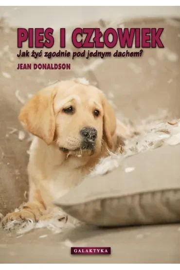 Pies i człowiek