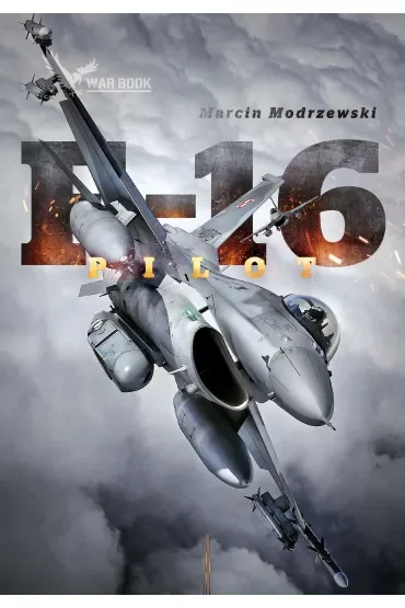 Pilot F-16