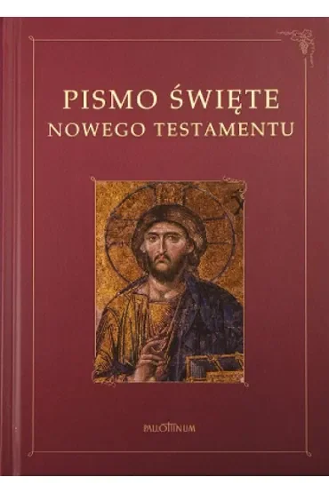 Pismo Święte - NT z ilustracjami ( komunia)