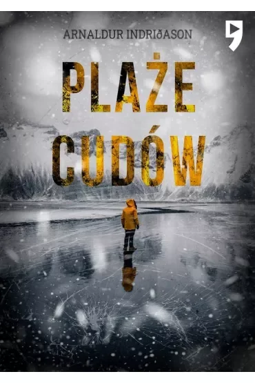 Plaże cudów. Komisarz Erlendur Sveinsson. Tom 11
