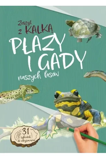 Płazy i gady naszych lasów
