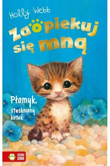 Płomyk, stęskniony kotek. Zaopiekuj się mną