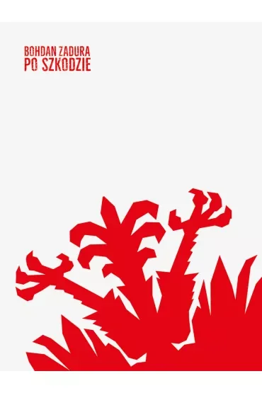 Po szkodzie