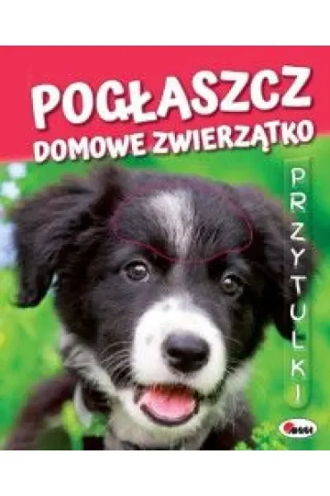 Pogłaszcz Domowe Zwierzątko. Przytulki