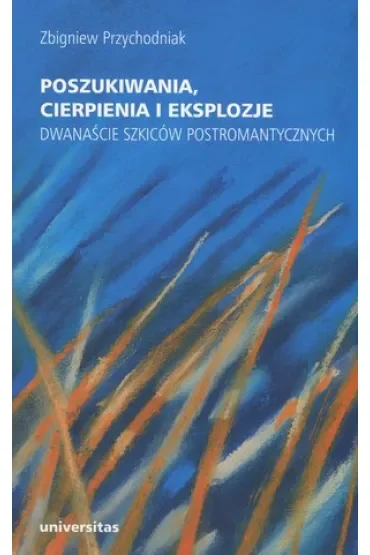 Poszukiwania, cierpienia i eksplozje. Dwanaście szkiców postromantycznych