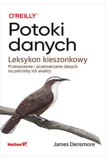 Potoki danych. Leksykon kieszonkowy. Przenoszenie i przetwarzanie danych na potrzeby ich analizy
