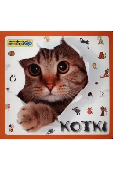 Poznajemy zwierzęta - Kotki
