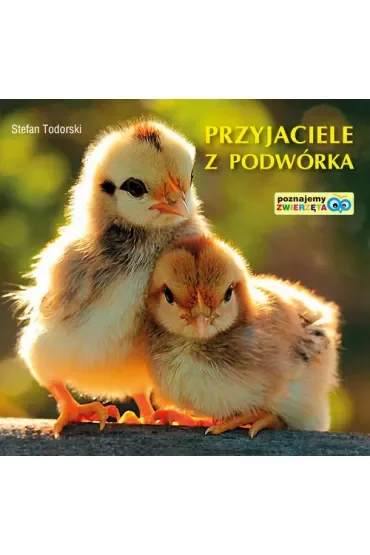 Przyjaciele z podwórka