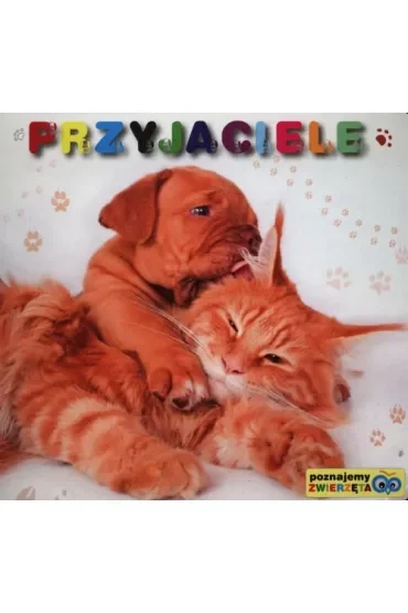 Poznajemy zwierzęta - Przyjaciele