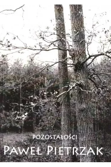 Pozostałości