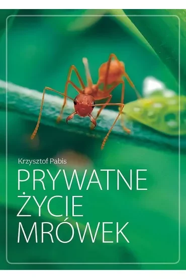 Prywatne życie mrówek