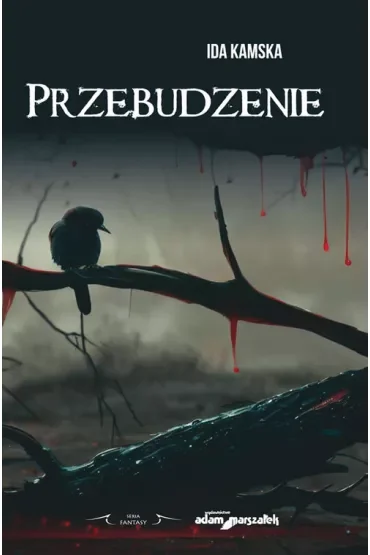 Przebudzenie