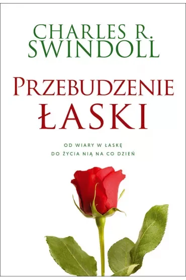 Przebudzenie łaski. Od wiary w łaskę do życia nią na co dzień