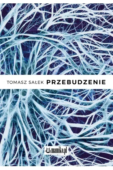 Przebudzenie