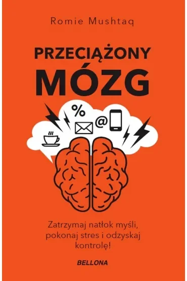 Przeciążony mózg