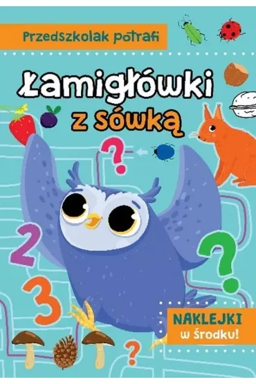Łamigłówki z sówką. Przedszkolak potrafi