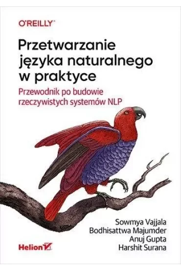Przetwarzanie języka naturalnego w praktyce. Przewodnik po budowie rzeczywistych systemów NLP