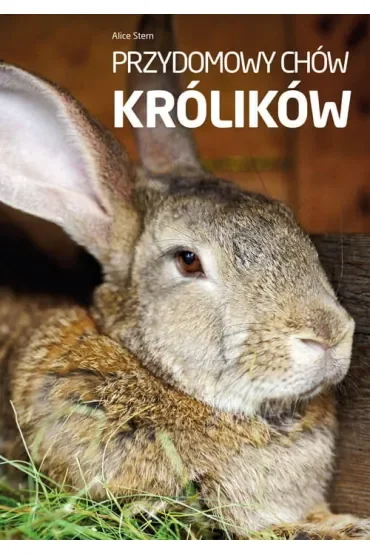 Przydomowy chów królików