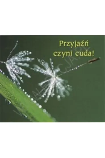 Przyjaźń czyni cuda. Perełka 140