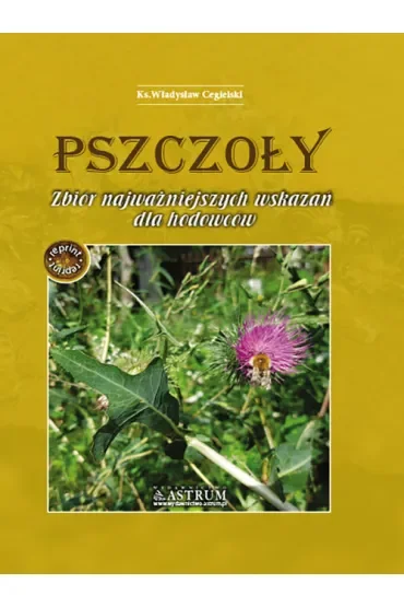 Pszczoły. Zbiór najważniejszych wskazań dla hodowców