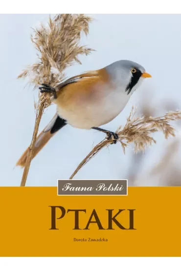 Ptaki. Fauna Polski