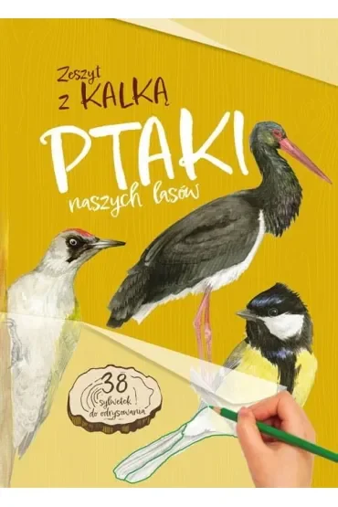 Ptaki naszych lasów