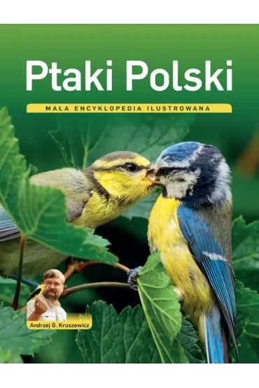 Ptaki Polski Mała encyklopedia ilustrowana