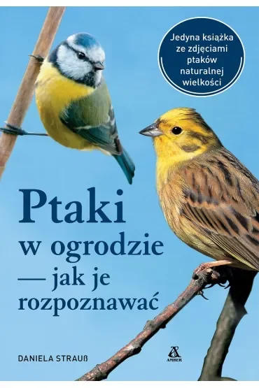 Ptaki w ogrodzie – jak je rozpoznawać