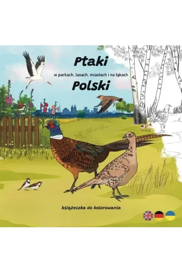 Ptaki w parkach, lasach, miastach i na łąkach...
