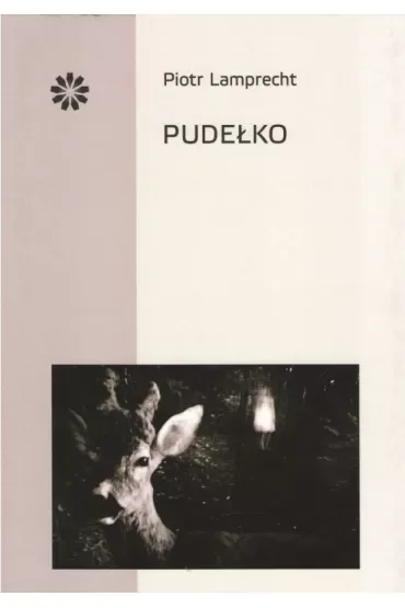 Pudełko